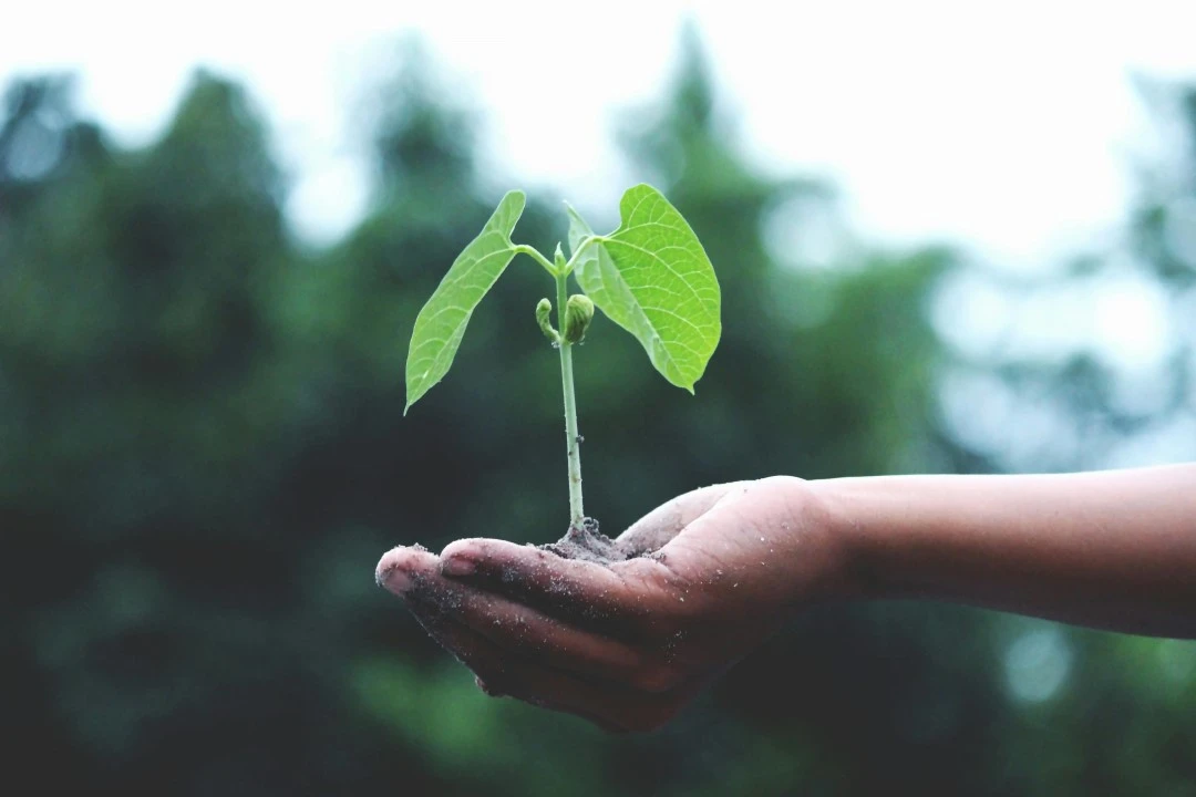 Why Is a Growth Mindset Essential for Sustained Weight Loss?